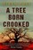 A Tree Born Crooked, Steph Post - Paperback - 9781917415064