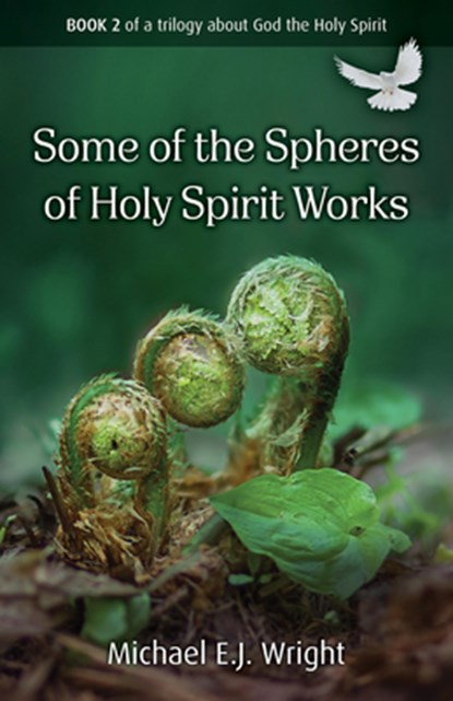 Some of the Spheres Holy Spirit Works, Michael E.J. Wright - Paperback - 9781917455244