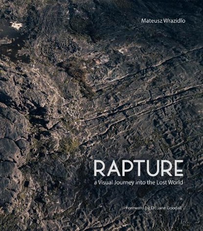 Rapture, Mateusz Wrazidlo - Paperback - 9781917458832