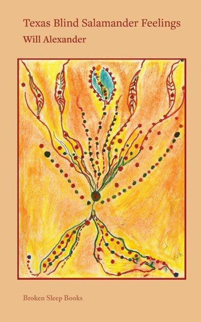 Texas Blind Salamander Feelings, Will Alexander - Paperback - 9781917617987