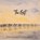 The Gift, Mary Maguire - Paperback - 9781917847018