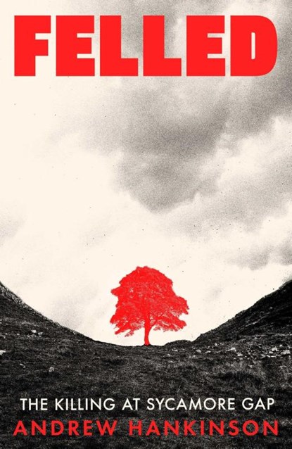 Felled, Andrew Hankinson - Gebonden - 9781917923941