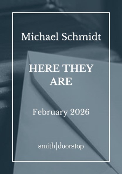 Here They Are, Michael Schmidt - Paperback - 9781917987035