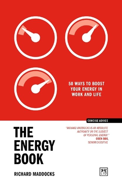 The Energy Book, Richard Maddocks - Paperback - 9781918215311