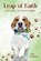 Leap of Faith, Amy Barton - Paperback - 9781918465419
