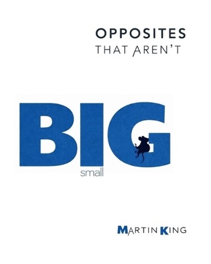 BIG & small, Martin King - Paperback - 9781918721003