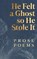 He Felt a Ghost, So He Stole It, Rhys Hughes - Paperback - 9781918860009