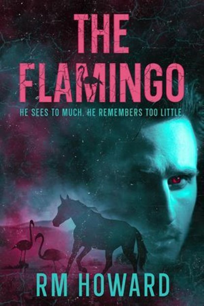 The Flamingo, RM Howard - Ebook - 9781919245607