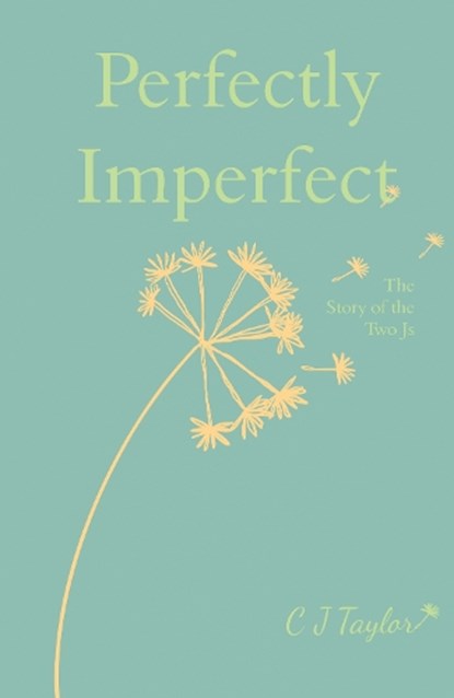 Perfectly Imperfect, C J Taylor - Paperback - 9781919264813