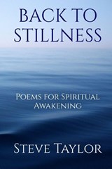 Back to Stillness - Steve Taylor - 9781919337708