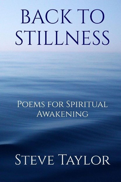 Back to Stillness, Steve Taylor - Paperback - 9781919337708