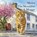 Moira The Moniaive Moggy, Keith Shaw Buckley - Paperback - 9781919501802