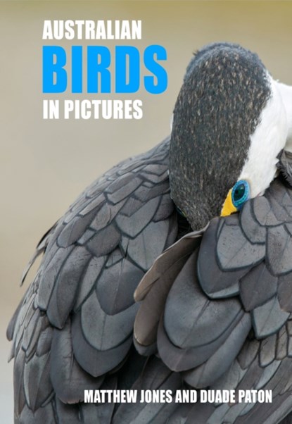 Australian Birds in Pictures, Mathew Jones ; Duade Paton - Gebonden - 9781921073175