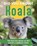 Did You Know? Koala, Tbd - Gebonden - 9781921073878