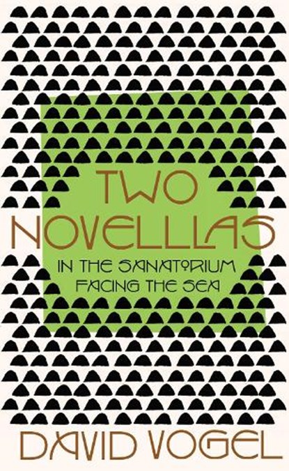 Two Novellas: In the Sanatorium and Facing the Sea, David Vogel - Gebonden - 9781922070494