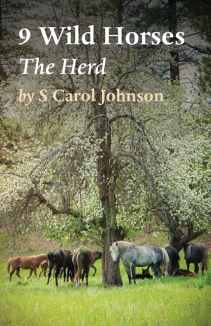 9 Wild Horses, S Carol Johnson - Paperback - 9781922328670