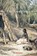 The Undying, Mudrooroo - Paperback - 9781922473462