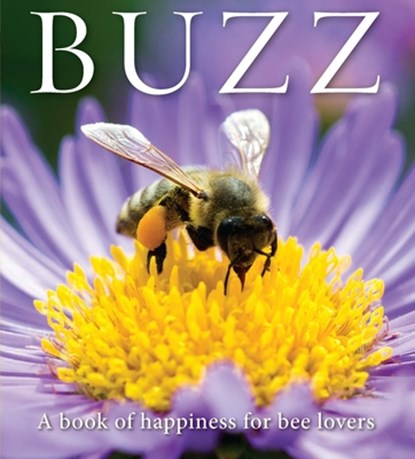 Buzz, Adam Langstroth - Paperback - 9781922539762