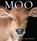 Moo, Angus St John Galloway - Paperback - 9781922539823
