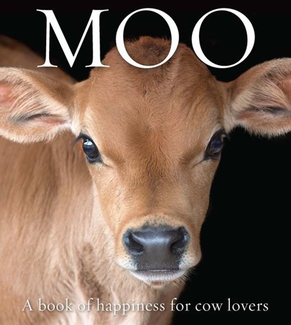 Moo, Angus St John Galloway - Paperback - 9781922539823