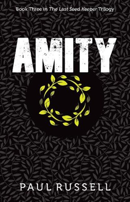 Amity, Paul Russell - Paperback - 9781922539953