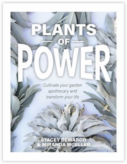 Plants of Power, Stacey Demarco - Ebook - 9781922579195