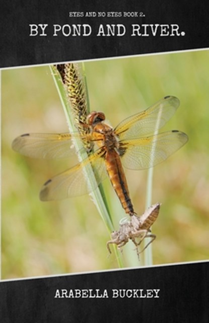 By Pond and River, Arabella Buckley - Paperback - 9781922619891