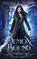 Demon Bound, Nicole R Taylor - Paperback - 9781922624109