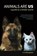 Animals Are Us, Victoria Thompson - Paperback - 9781922669926