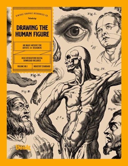 Drawing the Human Figure, Kale James - Paperback - 9781922966094