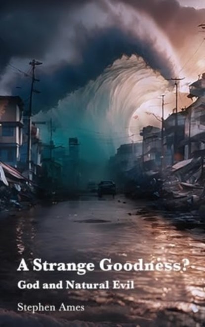 A Strange Goodness?, Stephen Ames - Gebonden - 9781923006638