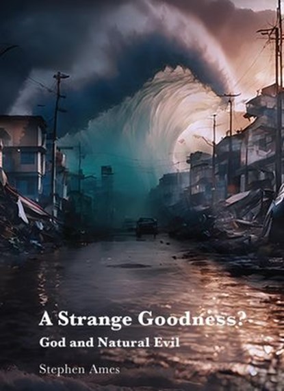 A Strange Goodness?, Stephen Ames - Ebook - 9781923006645