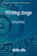 Writing Songs - Simplified, Helen Iles - Paperback - 9781923174627