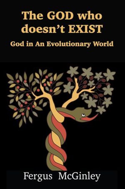 The God Who Doesn't Exist, Fergus McGinley - Ebook - 9781923206960
