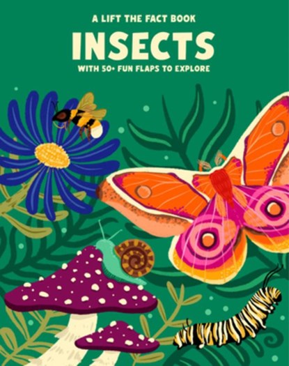 Insects, Emma Whitelaw - Gebonden - 9781923286047