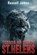 Terror On Mount St. Helens, Russell James - Paperback - 9781923663060