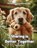 Sharing is Better Together, Swan - Paperback - 9781923750104