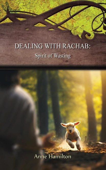Dealing with Rachab, Anne Hamilton - Paperback - 9781925380873