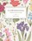 Flowerpaedia, Cheralyn Darcey - Paperback - 9781925429466
