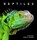 Reptiles, Steve Wilson - Gebonden - 9781925546675