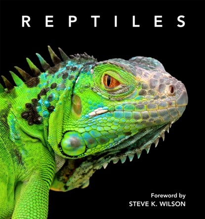 Reptiles, Steve Wilson - Gebonden - 9781925546675