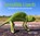Incredible Lizards, Steve K. Wilson - Gebonden - 9781925546989