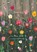 Shutting, PIAO,  Lu - Paperback - 9781925780826