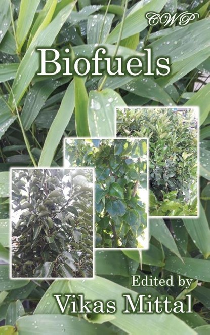 Biofuels, Vikas Mittal - Gebonden - 9781925823134
