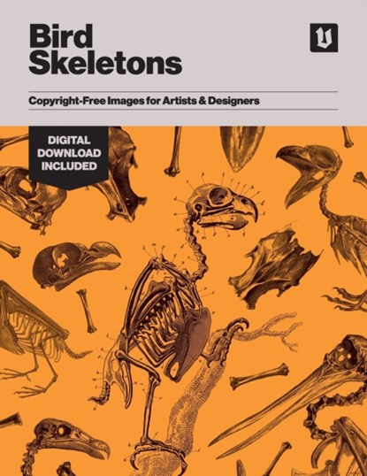 Bird Skeletons, Kale James - Paperback - 9781925968064