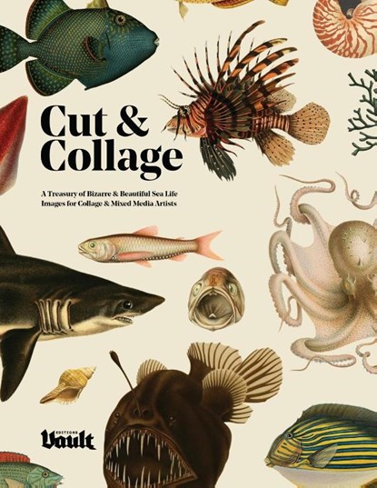 Cut and Collage, Kale James - Paperback - 9781925968774