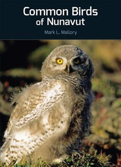 Common Birds of Nunavut, Mark L. Mallory - Paperback - 9781927095669