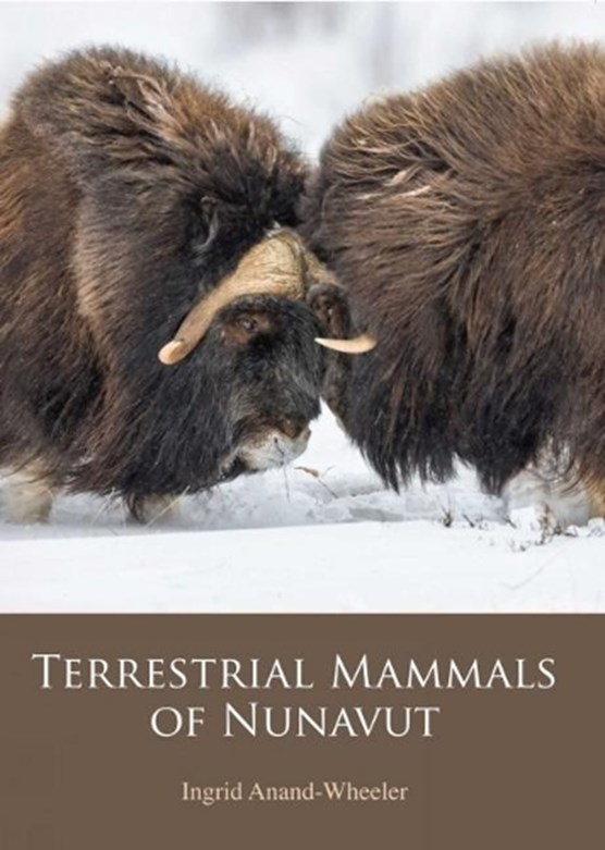 Terrestrial Mammals of Nunavut