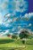 Renew, David Sherbino - Paperback - 9781927355725