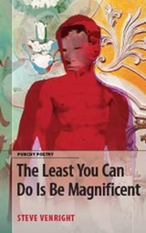 The Least You Can Do Is Be Magnificent - VENRIGHT,  Steve - 9781927599396